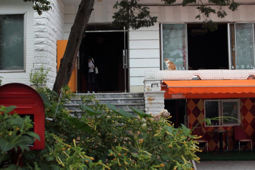 Hongdae Orange Guesthouse Seul Zewnętrze zdjęcie